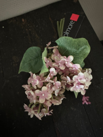 Bosje hortensia plum lilac