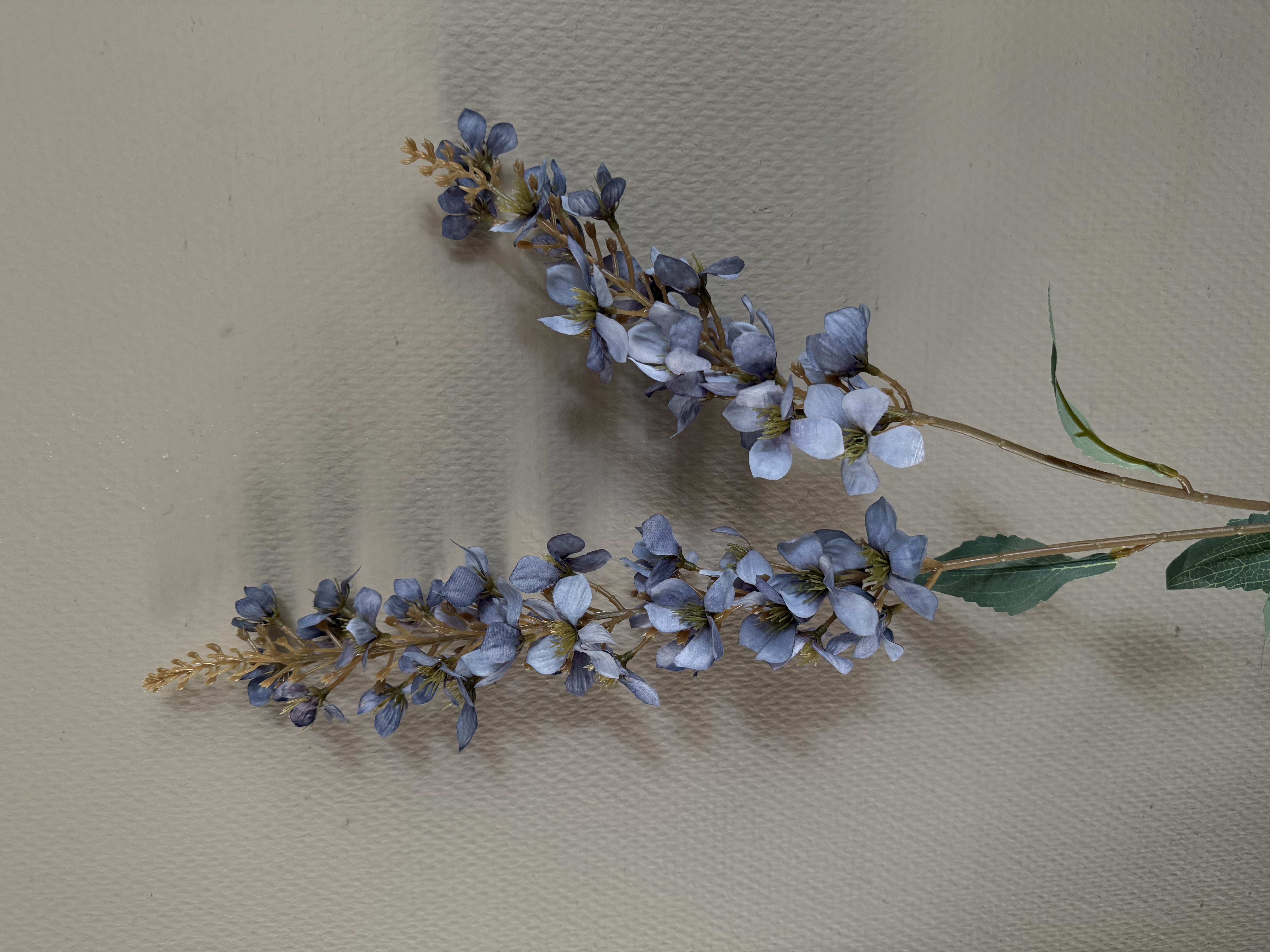 Digitalis Blue