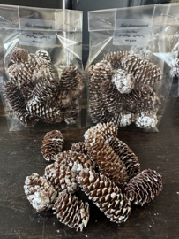 Zakje mini dennenappels