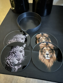 Glazen Onderzetters dieren