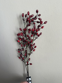 Rozenbottel 80 cm