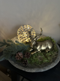 Complete set kerst