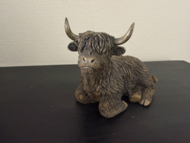 Schotse Hooglander liggend  in 2 maten