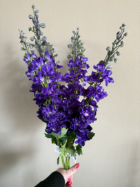 Delphinium  Paars 78 cm
