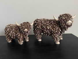 Schotse Hooglanders in 2 maten