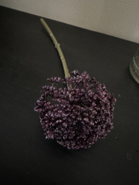 Allium dark purple 29 cm