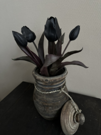 Bos tulpen 5 st. Black  30 cm