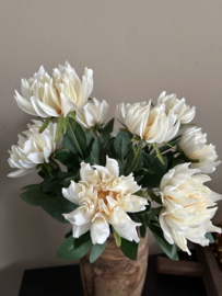 Bos dahlia,s