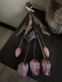 Bos tulpen 5 st  donker roze 47 cm