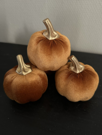 Pompoenen