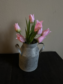 Mini Tulpjes in 2 kleuren