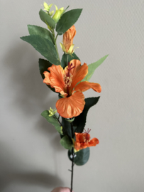 Hisbiscus orange 80 cm