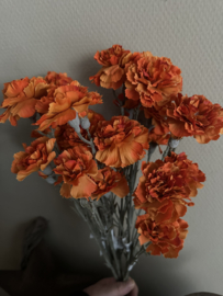 Dianthus 60 cm oranje