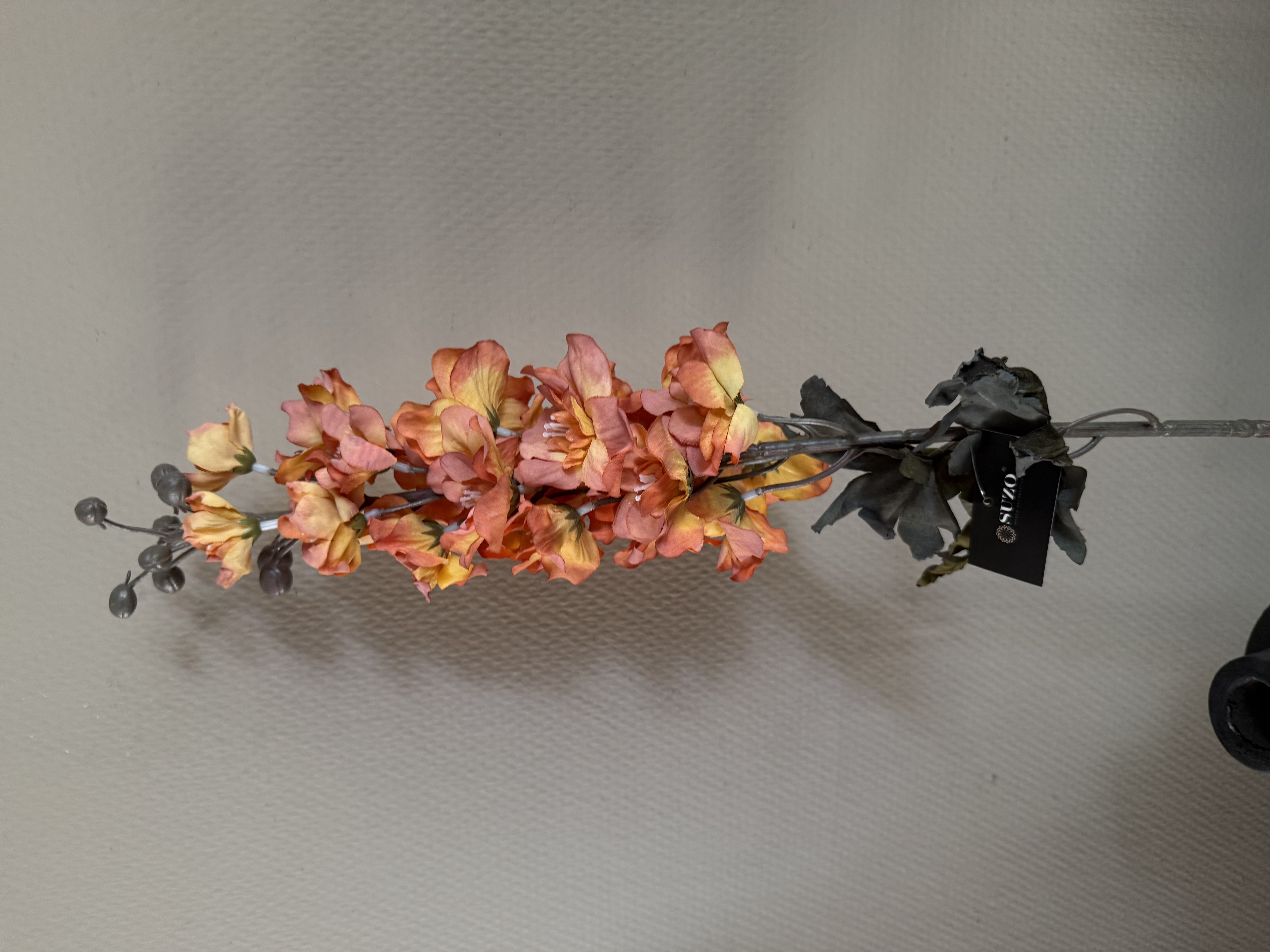 Delphinium Orange