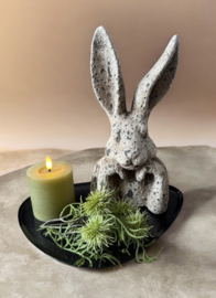 Dienblad 30 x 22 black