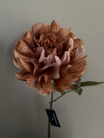 Dahlia licht bruin