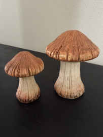 Set paddestoelen reny