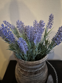 Lavendel