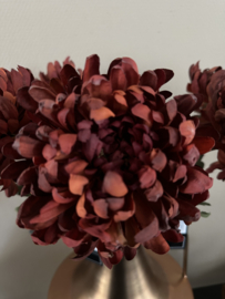 Chrysant donker rood