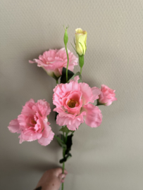 Lisianthus roze 74 cm