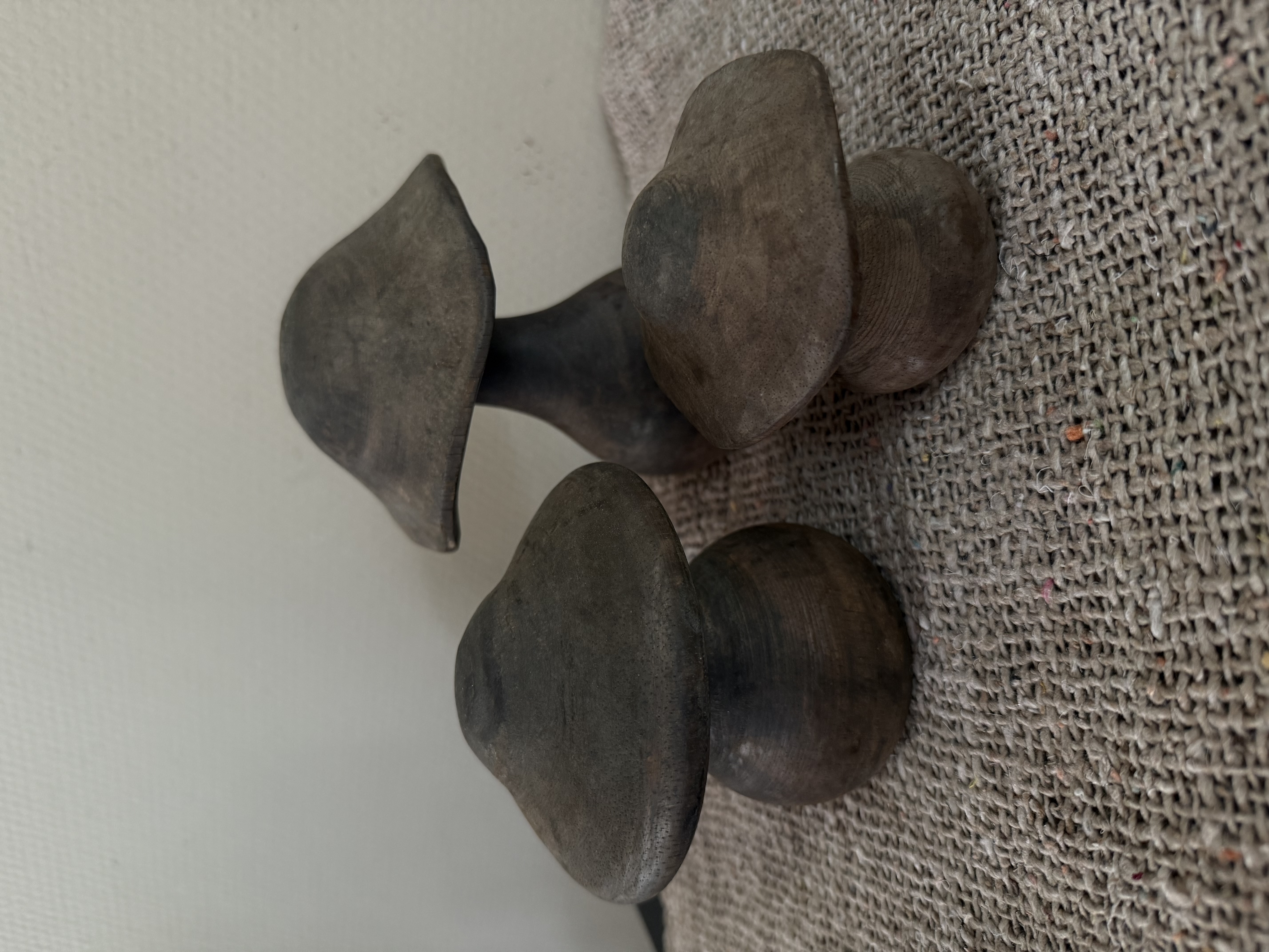 Houten paddestoelen