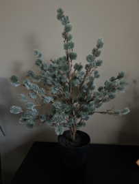 X-tree larix grijs / groen 80 cm brynxz