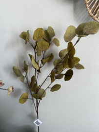 Kunsttak Eucalyptus 90 cm groen