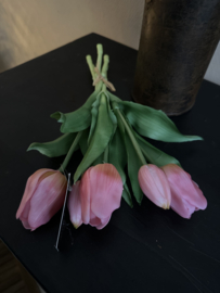 Tulpen  Roze  30 cm