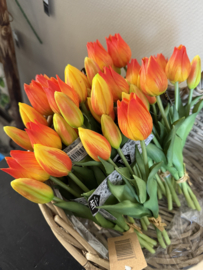 Tulpjes 3 st. orange 25 cm