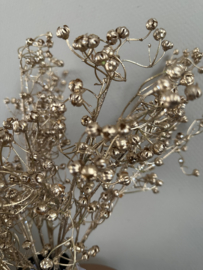 Gypsophillia zweig goud 60 cm