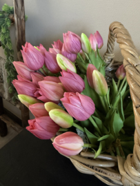 Tulpjes 3 st. Roze 25 cm