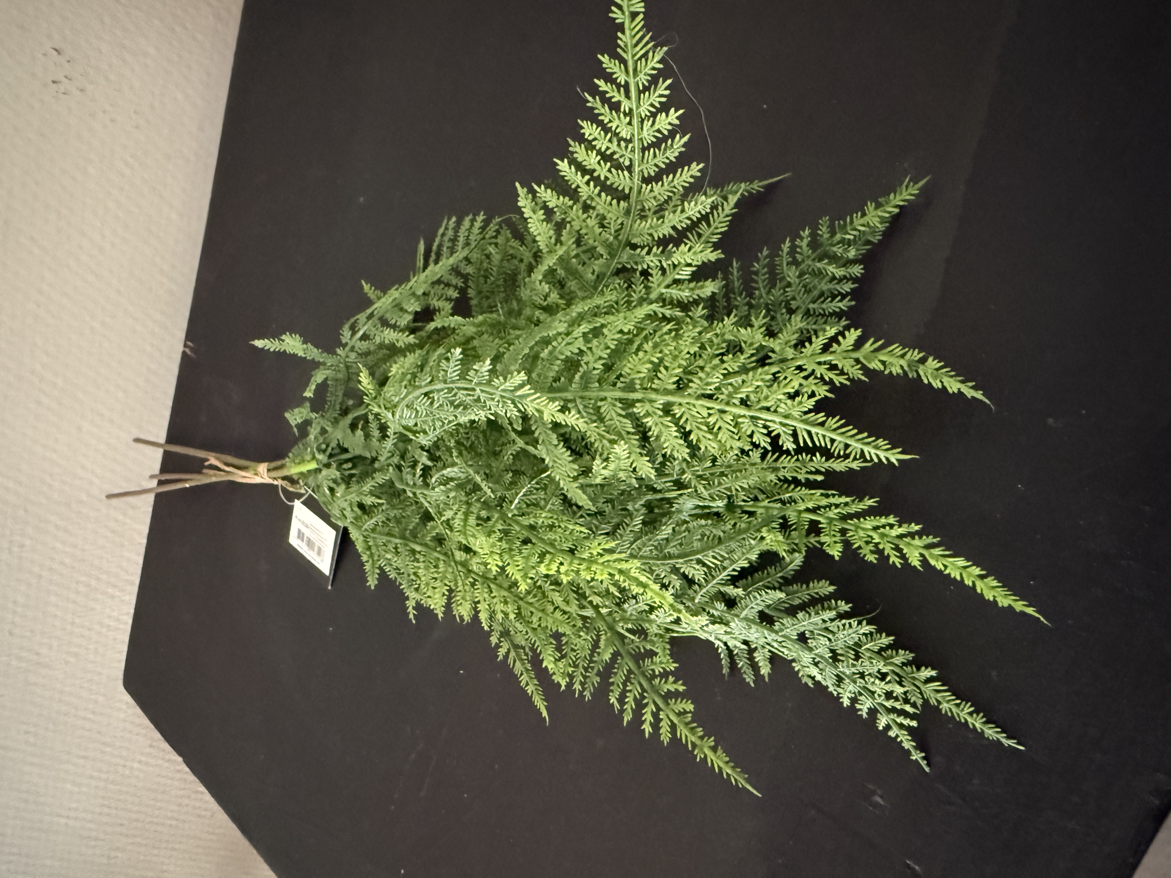 Bosje Asparagus