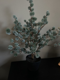 X-tree larix grijs / groen 80 cm brynxz