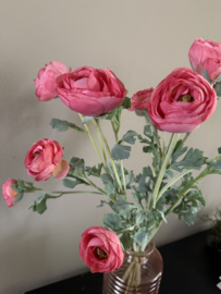 Ranunculus pink 73 cm