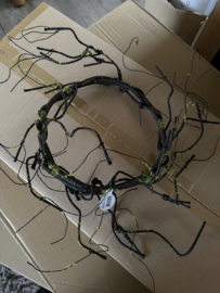 Wilgenkrans Brown green