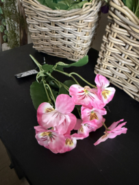 Viooltjes 33 cm pink