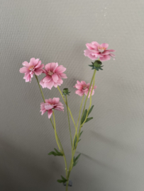 Madelon pink 64 cm