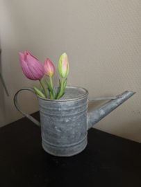 Gieter zink
