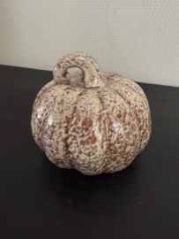 Pompoen Dolo