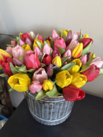 Tulpen mixed 30 cm 7.st
