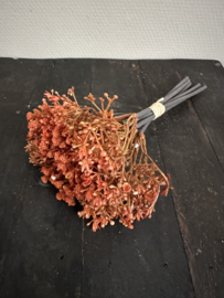 Gypso bundel herfst orange