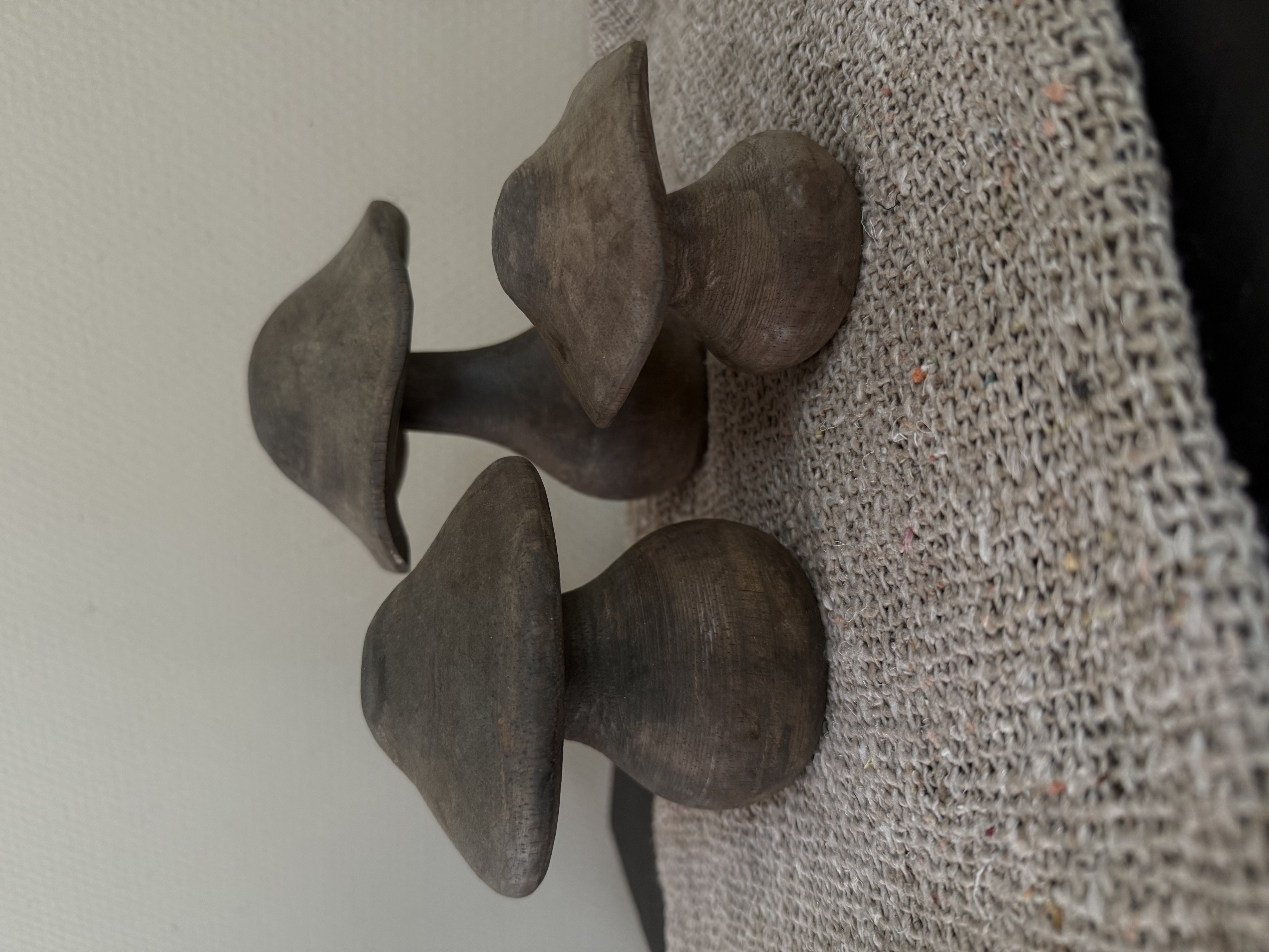 Houten paddestoelen