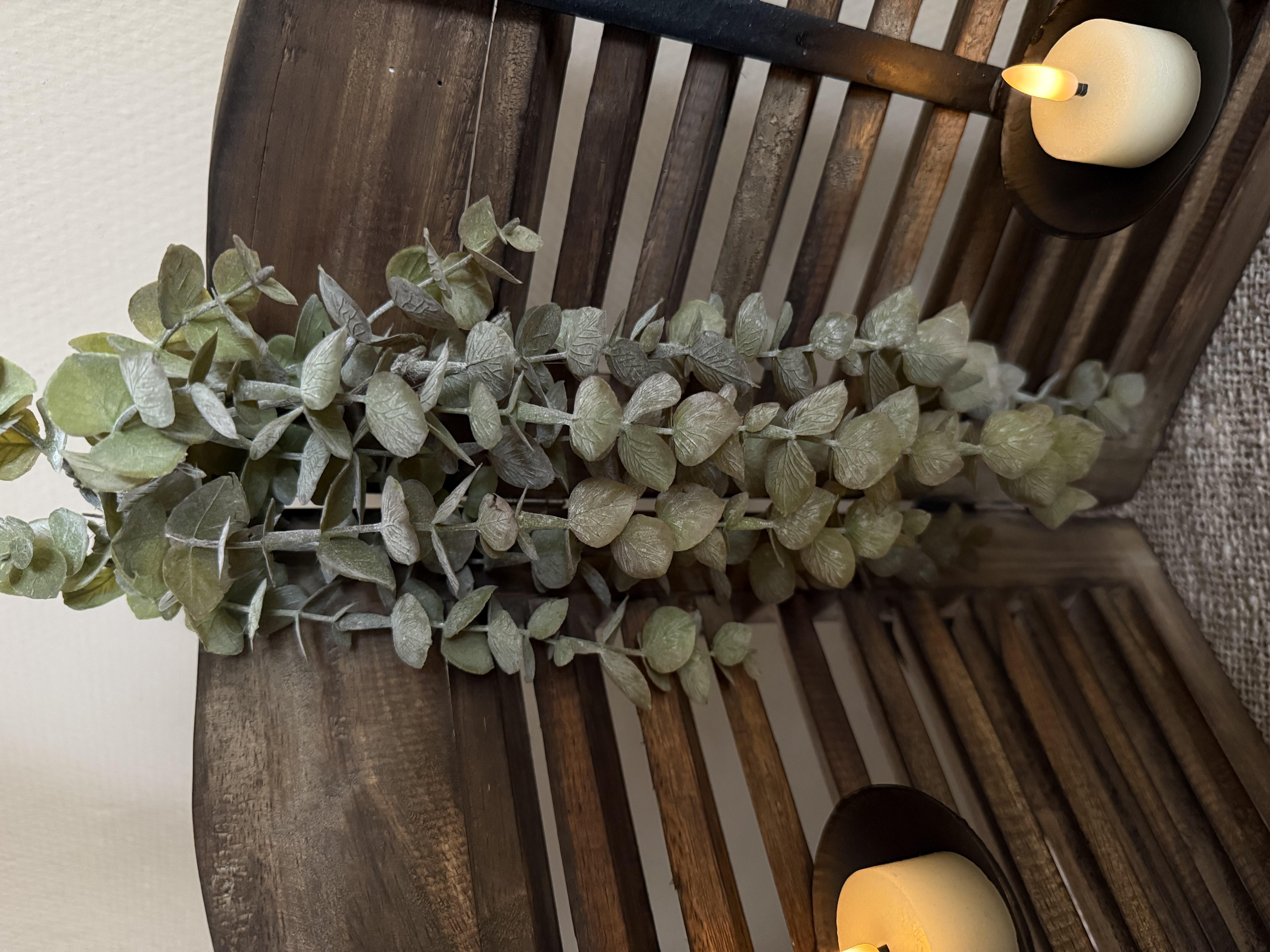 Eucalyptus tak hang op pen