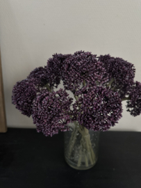 Allium dark purple 29 cm