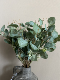 eucalyptus met bloei