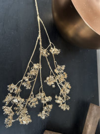 Gypsophillia goud