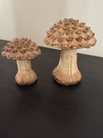 Set paddestoelen Cony
