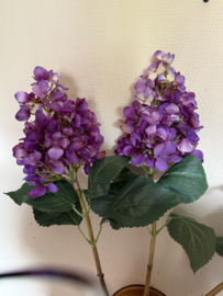 Hydrangea purple 74 cm
