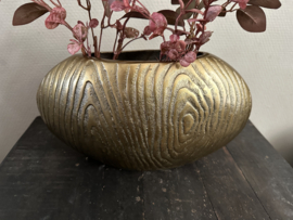 Vaas Plate goud