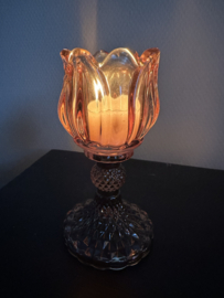 Waxine glaasjes Tulp